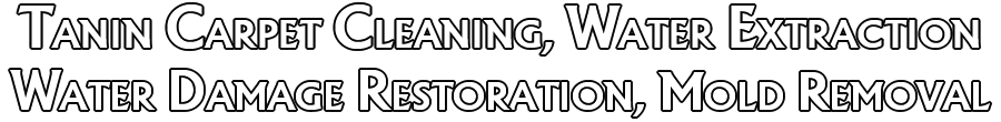 tanin water damage restoration skokie location