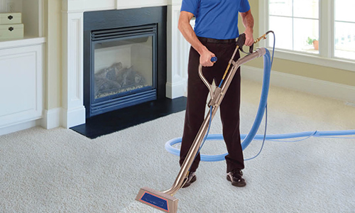 Tanin Carpet Cleaning Evanston